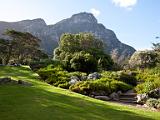 Kirstenbosch National Botanical Gardens  Cape Town, South Africa