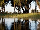 Okavanga Delta scene  Okavanga River Delta, Botswana
