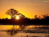 Okavanga Delta sunset  Okavanga River Delta, Botswana