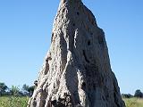 Termite mound  Okavanga River Delta, Botswana
