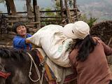 Loading a horse with a sack of cow dung