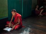 Young monks studying
