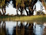 Okavanga Delta scene  Okavanga River Delta, Botswana