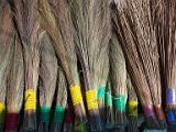Whisks and brooms