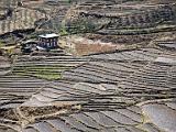 Rice paddies  In March, the paddies lie fallow.