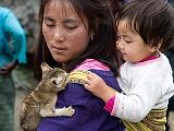 Kitten meets child