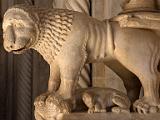 Lioness and cub  Trogir, Croatia