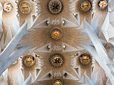 Sagrada Familia ceiling  Barcelona, Spain